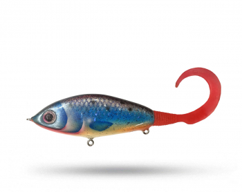 MG Tackle Melhem - Blue Sunrise